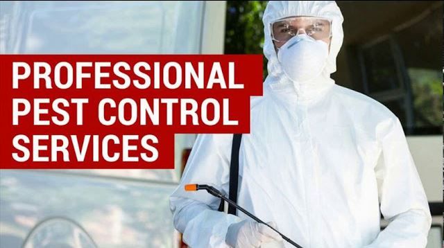 Certified pest control guy
